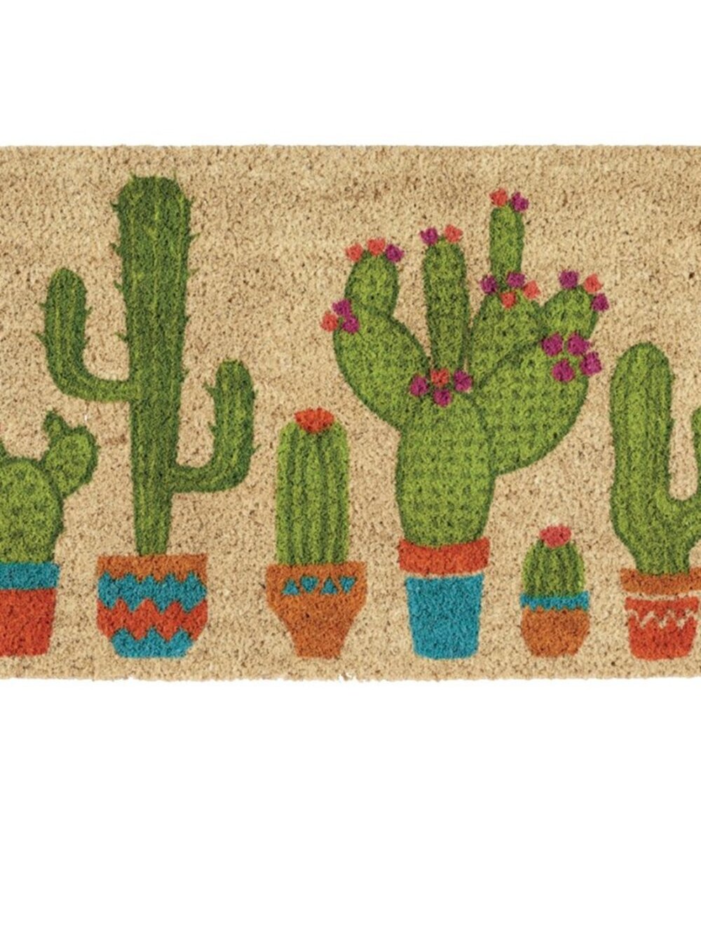 Floral Design Collection Natural Coir Doormat, 17x29, Cactus